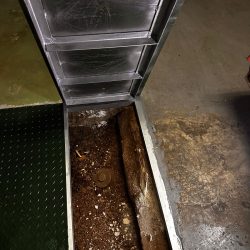 WhatsApp Image 2026-03-24 at 10.20.25 (6)